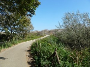 duinen-Schoorl     