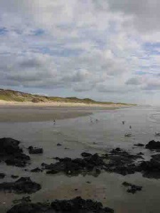 vakantiehuis-schoorl-okidoki-strand-natuur                         